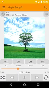 Maple Player JB screenshot 4