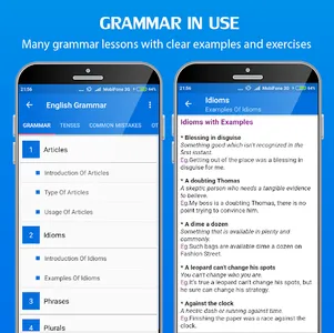 English Grammar Handbook Pro screenshot 2