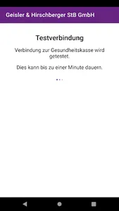 Geisler  Hirschberger StB GmbH screenshot 1