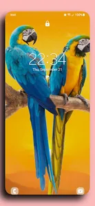 Parrot wallpapers screenshot 0