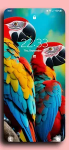 Parrot wallpapers screenshot 2