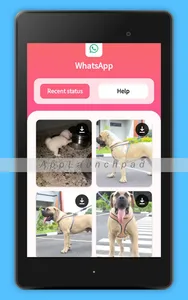 Status Saver - All in one Down screenshot 3