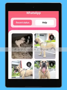 Status Saver - All in one Down screenshot 5