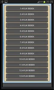 Bebek Gelişimi Ay Ay Detaylı screenshot 1