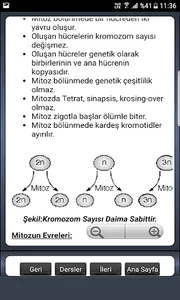 TYT AYT Biyoloji Konu Anlatım screenshot 5