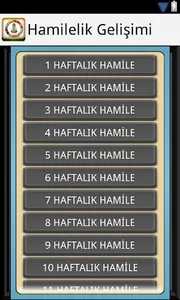 Hamilelik Gelişimi Hafta Hafta screenshot 9
