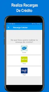 ViPay screenshot 2