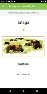 Stoney Nakoda Vocab Builder screenshot 2