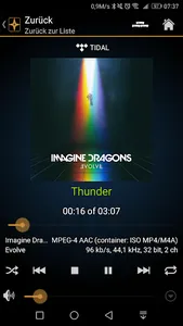 AURUM Player screenshot 0