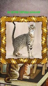 Какой ты котик screenshot 2