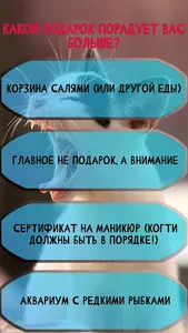 Какой ты котик screenshot 3
