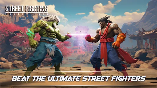 Street Fighting Shadow Duel screenshot 11