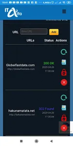 IT-Alfa Status Checker’s tool screenshot 2