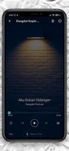 Dangdut Pantura Mp3 Offline screenshot 3