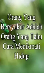 Kata Bijak Penuh Semangat screenshot 2