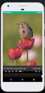 Suara Pikat Burung Pipit Ampuh screenshot 1