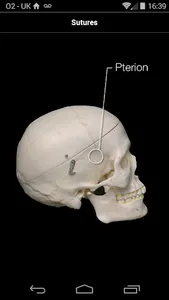 Skull Osteology screenshot 4