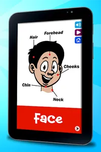 Learning Human Body for Kids screenshot 1