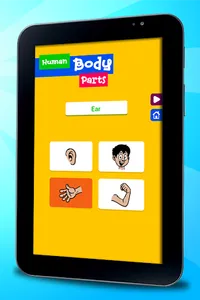 Learning Human Body for Kids screenshot 19