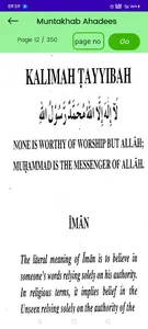 Muntakhab Ahadees (English) screenshot 6