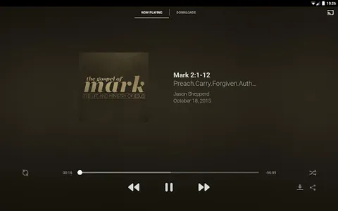 Church Project screenshot 8