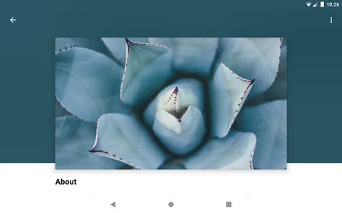 Hope Presbyterian Bellevue screenshot 4