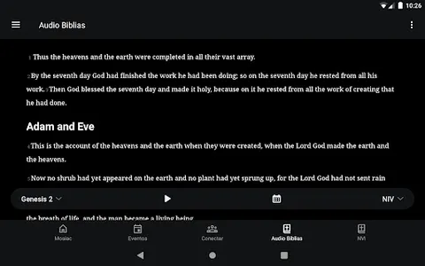 Mosaico Church screenshot 4
