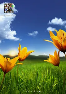 خلفيات رائعة بنقرة زر HD screenshot 4