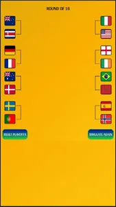 Women's World Cup Simulator screenshot 4