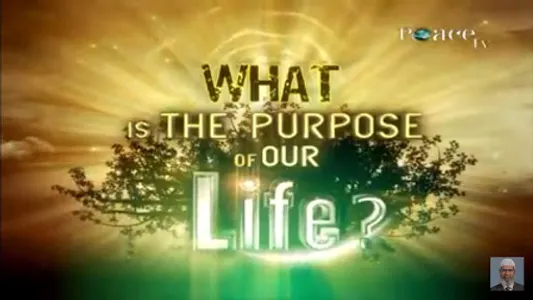 What is Islam screenshot 21