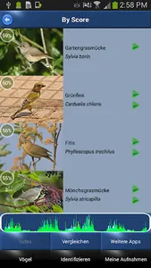 Vogelstimmen Id - Ruf + Gesang screenshot 0