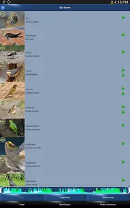 Vogelstimmen Id - Ruf + Gesang screenshot 10