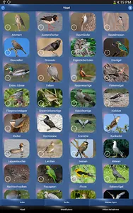 Vogelstimmen Id - Ruf + Gesang screenshot 12