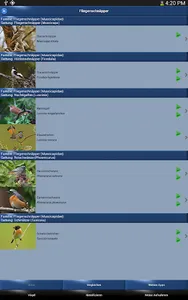 Vogelstimmen Id - Ruf + Gesang screenshot 14