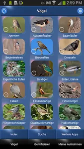 Vogelstimmen Id - Ruf + Gesang screenshot 2