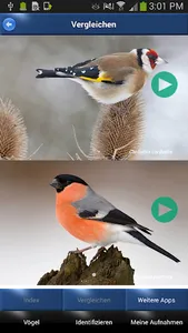 Vogelstimmen Id - Ruf + Gesang screenshot 3