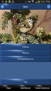 Vogelstimmen Id - Ruf + Gesang screenshot 4