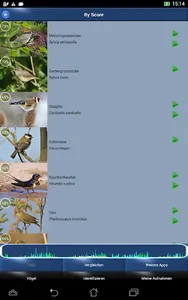 Vogelstimmen Id - Ruf + Gesang screenshot 5