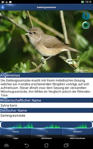 Vogelstimmen Id - Ruf + Gesang screenshot 6