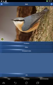 Vogelstimmen Id - Ruf + Gesang screenshot 9