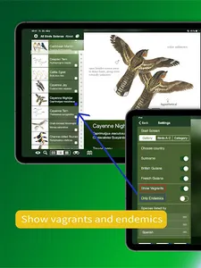 All Birds Guianas, Suriname, G screenshot 12