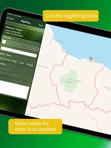 All Birds Guianas, Suriname, G screenshot 15