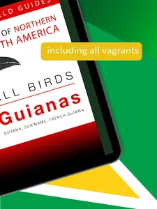 All Birds Guianas, Suriname, G screenshot 17