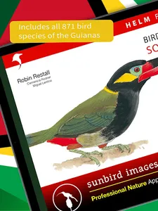 All Birds Guianas, Suriname, G screenshot 8