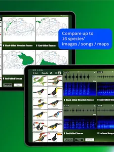 All Birds Northern South Ameri screenshot 13