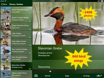 All Birds Germany  - Photo Gui screenshot 12