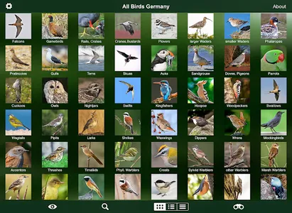 All Birds Germany  - Photo Gui screenshot 18