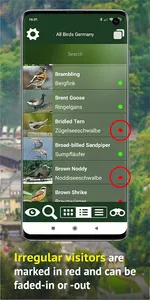 All Birds Germany  - Photo Gui screenshot 5