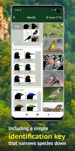 All Birds Germany  - Photo Gui screenshot 7