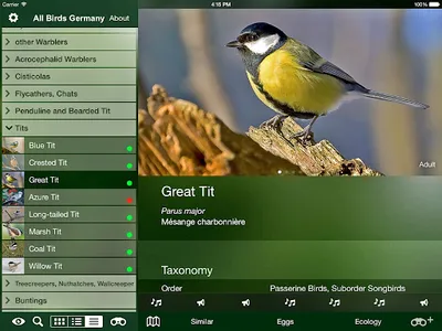 All Birds Germany  - Photo Gui screenshot 9